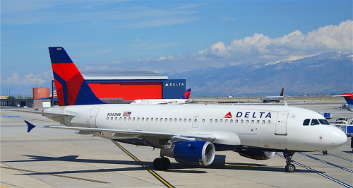 Machinists union calls for US government to investigate Delta Air Lines